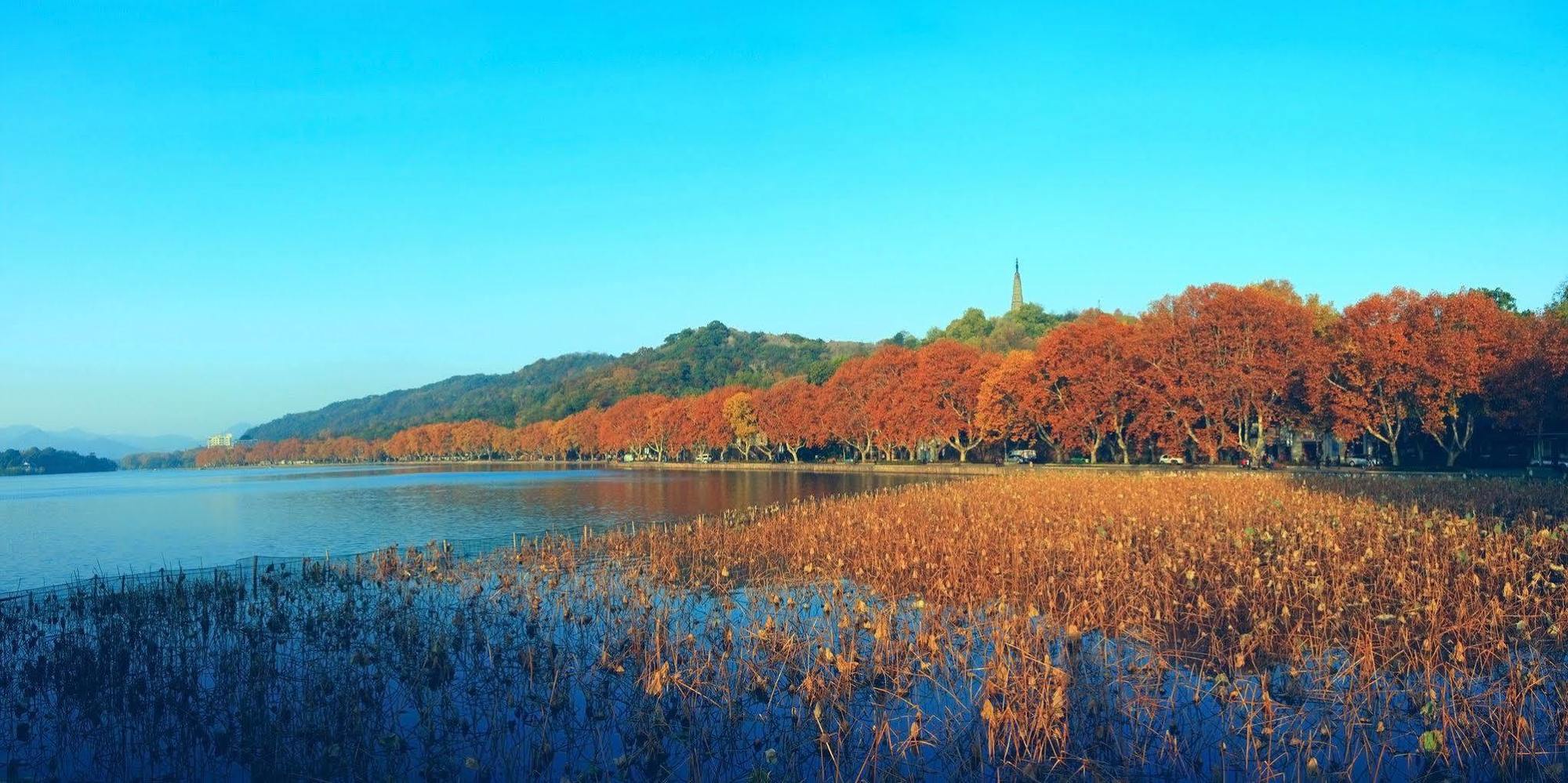 Four Points By Sheraton Hangzhou, Binjiang Exteriör bild